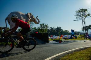 BIB: 
                            <button type="button" onclick="openModal(26182978)" class="btn btn-primary btn-sm float-right btn-popup" data-toggle="modal" data-target=".modal-high-quality">
                        <i class="fas fa-shopping-cart"></i> Add to Cart
                    </button>
                                            <button type="button" onclick="isThisMe(26182978, true)" class="btn btn-success btn-sm float-right btn-popup btn-isme hidden" data-toggle="tooltip" data-placement="bottom" title="นี่คือรูปของคุณใช่ไหม คลิกที่นี่เพื่อเอาเข้าอัลบั้ม">
                        <i class="fas fa-plus"></i> Add to album
                    </button>
                    <button type="button" onclick="isThisMe(26182978, false)" class="btn btn-warning btn-sm float-right btn-popup btn-isnotme hidden">
                        <i class="fas fa-ban"></i> Remove from album
                    </button>